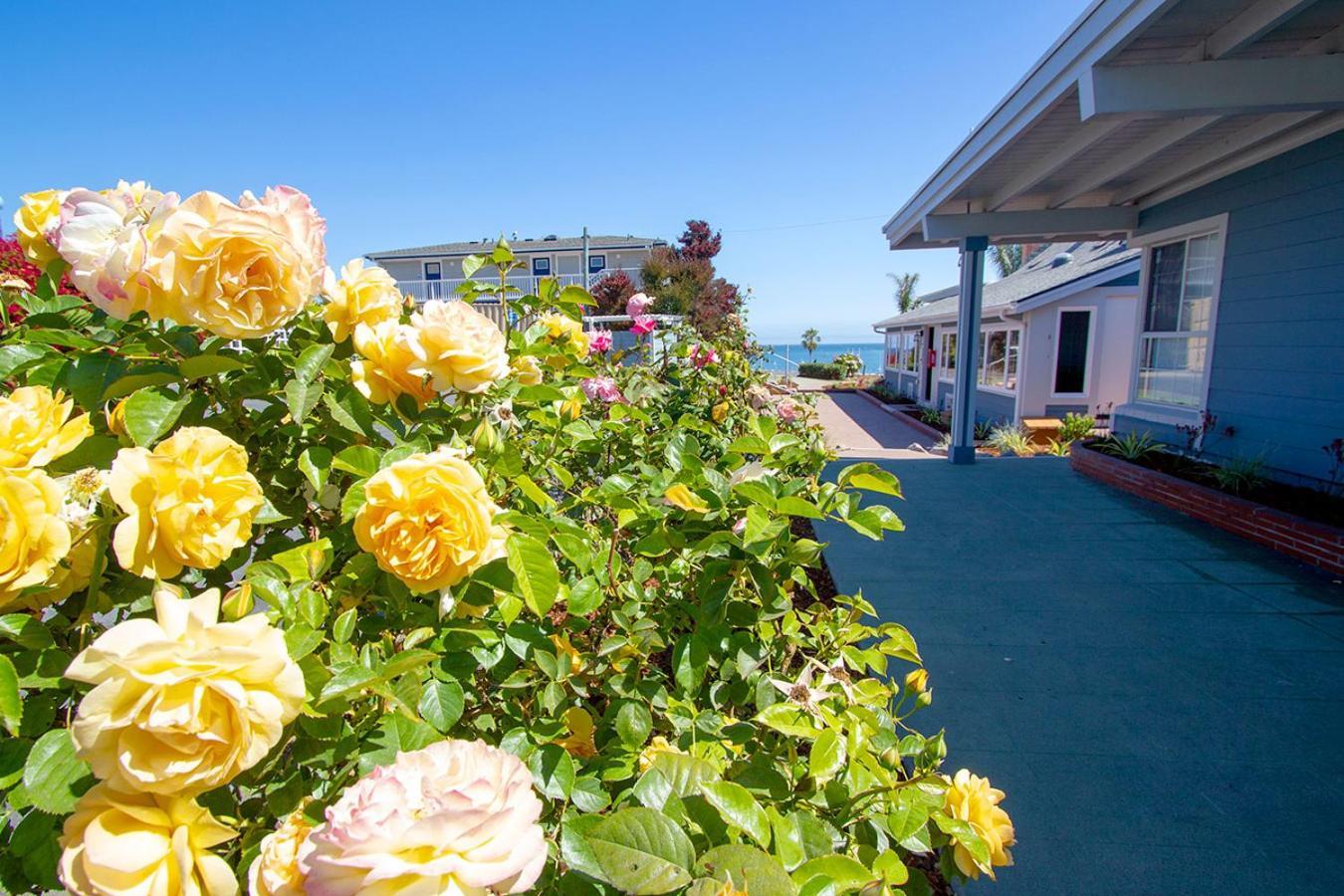 Edgewater Beach Inn Санта-Круз Екстер'єр фото